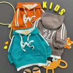 هودی وارداتی جذاب