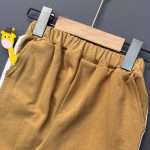 دوتیکه CRLMEA - Image 3