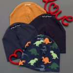 کلاه وارداتی simple - Image 2