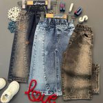 شافل بگ نگینی